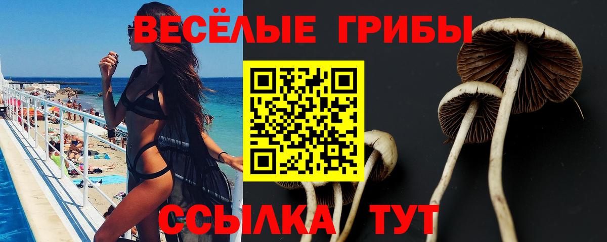 Джанкой  что такое наркотик  Вход с VPN  Псилоцибиновые грибы мицелий 